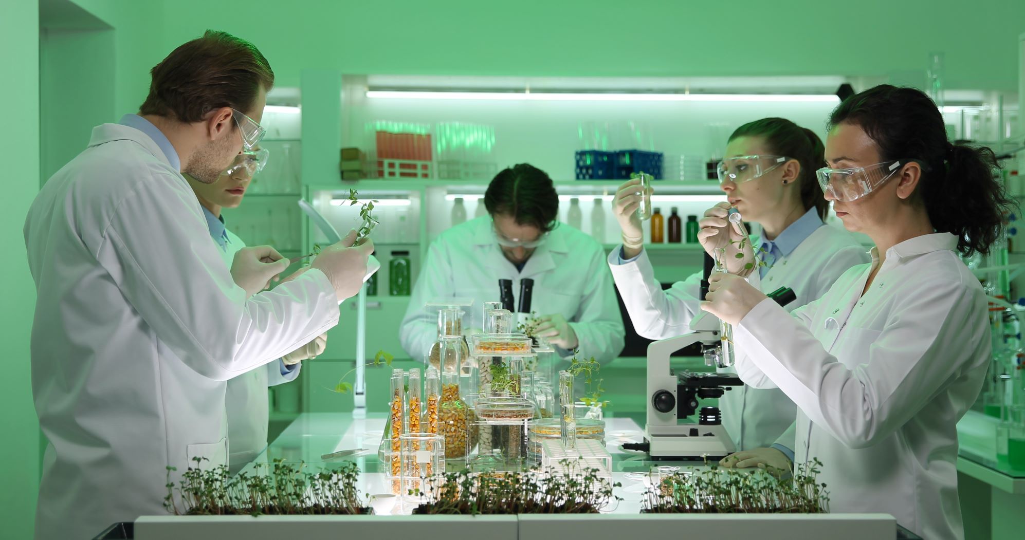 Green Life ofrece productos de cosmética anti-edad de alto rendimiento