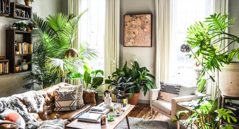 La atención que le prestamos a la vegetación de interiores