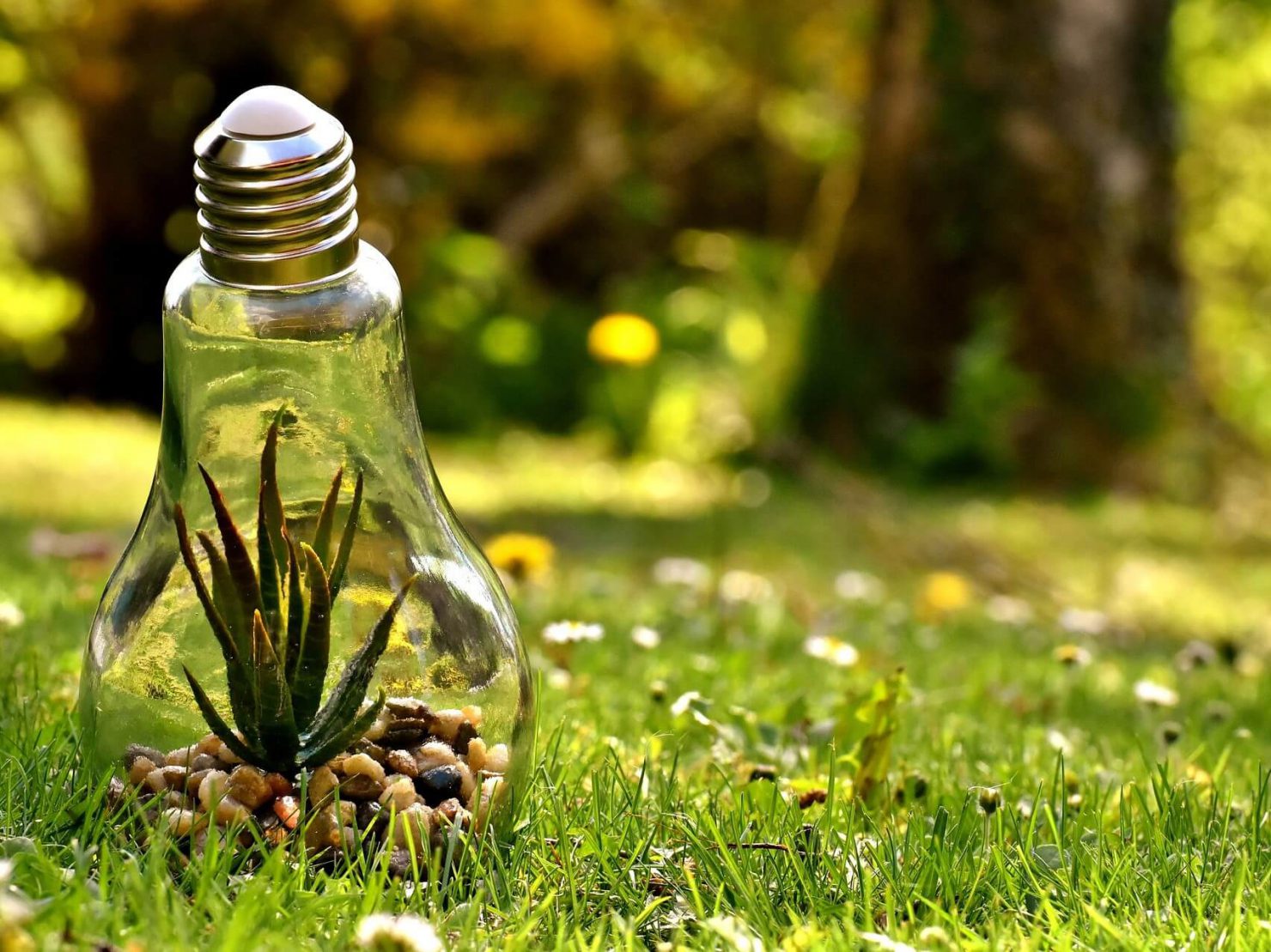 Esto se logra mediante la reutilización, la reparación, el reciclaje y la reducción de los residuos