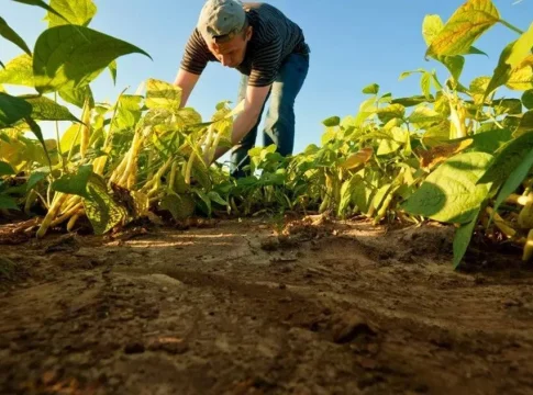 El peor momento para dedicarse a la agricultura en España El peor momento para dedicarse a la agricultura en España