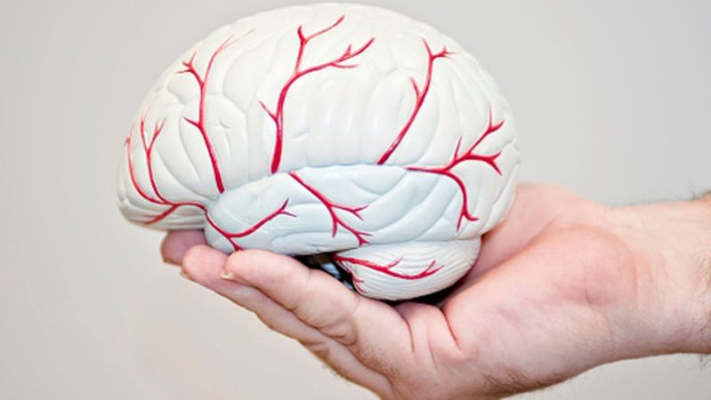 ¿Qué estudio realizo Nikolaos Scarmeas?