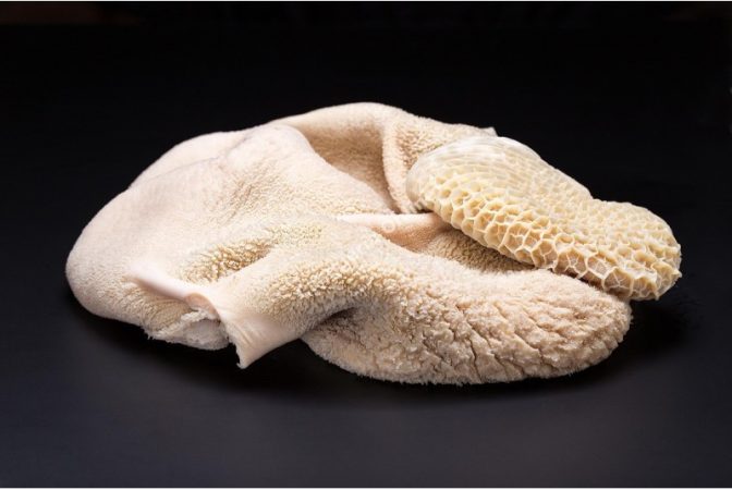 Propiedades adicionales de la vitamina B5