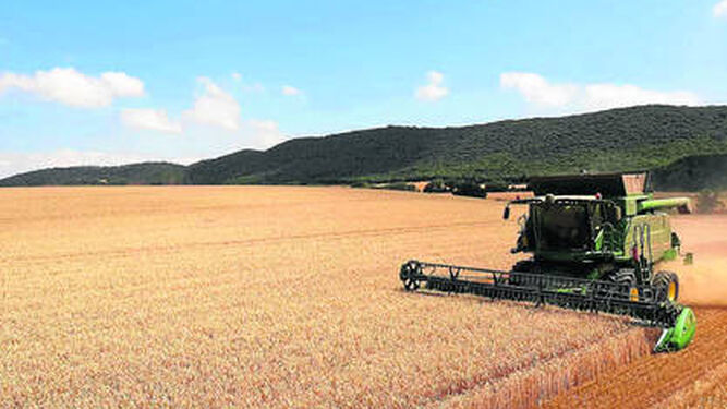 España pedirá a la CE que se dirijan los esfuerzos a mantener desbloqueada la salida de cereales de Ucrania