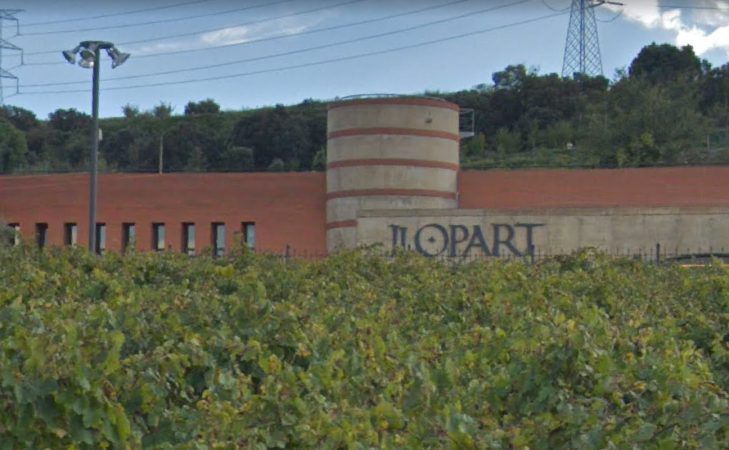 Corpinnat y Classic Penedès abren una nueva guerra en el cava catalán 1 Merca2.es Llopart, una de las bodegas asociadas a Corpinnat