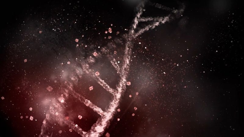 Capital Strategies Partners anuncia un acuerdo de distribución con ARK Invest 3 Merca2.es el adn delata tu aspecto fisico Merca2.es