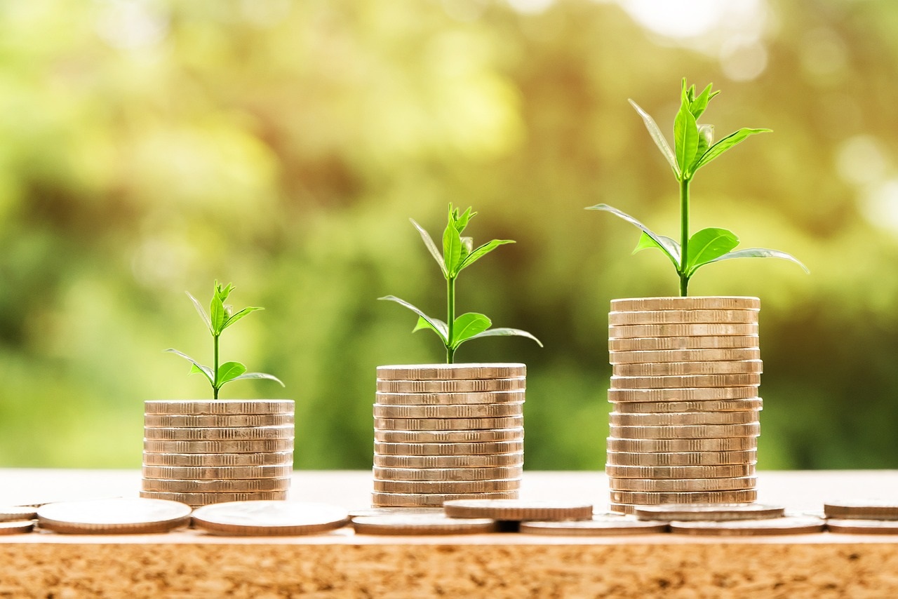 Los productos financieros donde invertir para batir la inflación