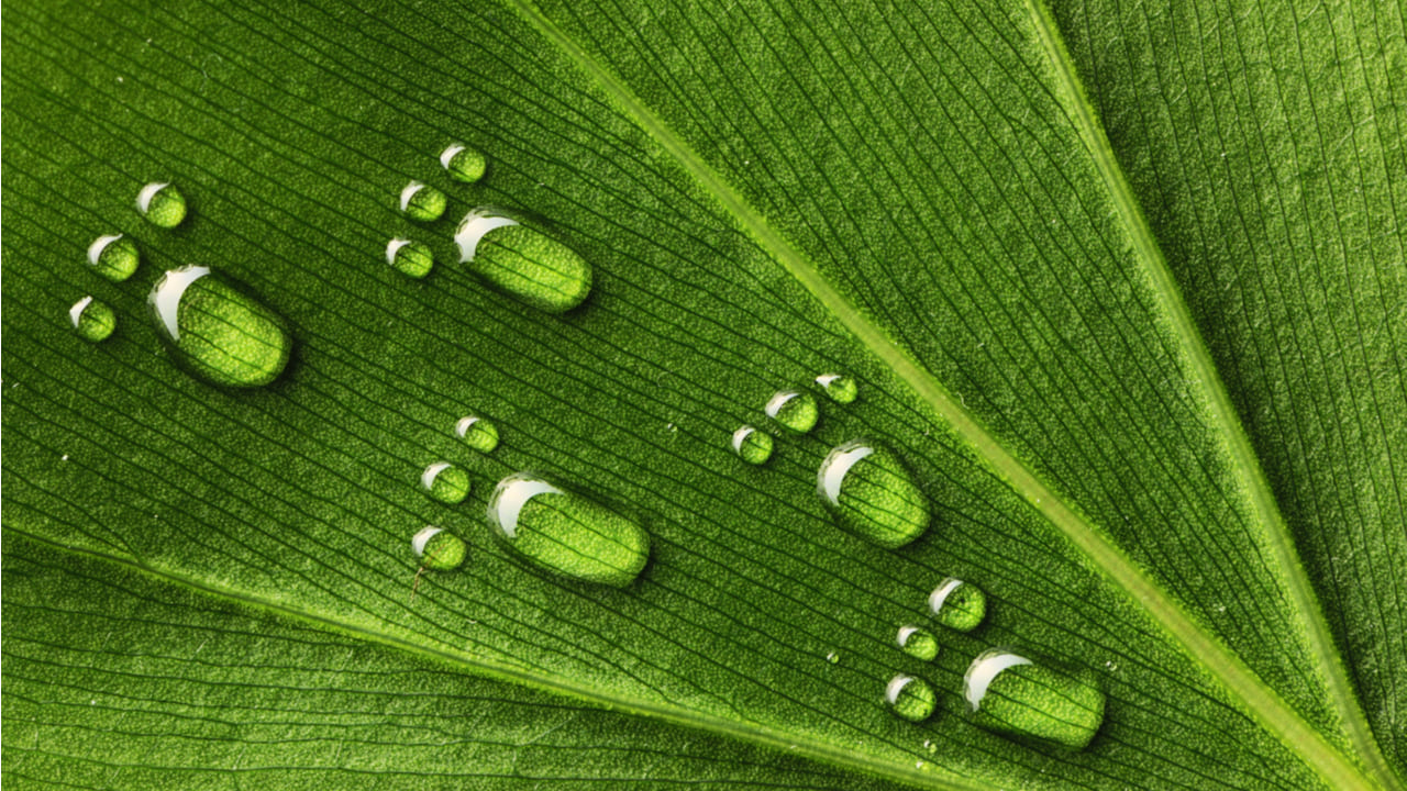 Qué es la huella hídrica y cómo podemos reducirla