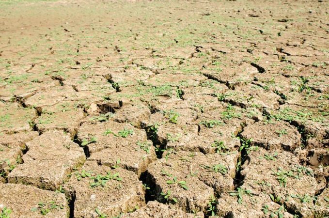El vídeo más desolador de el incendio de Villanueva de Viver: 70 ancianos refugiados en un autobús 11 Merca2.es Sequía