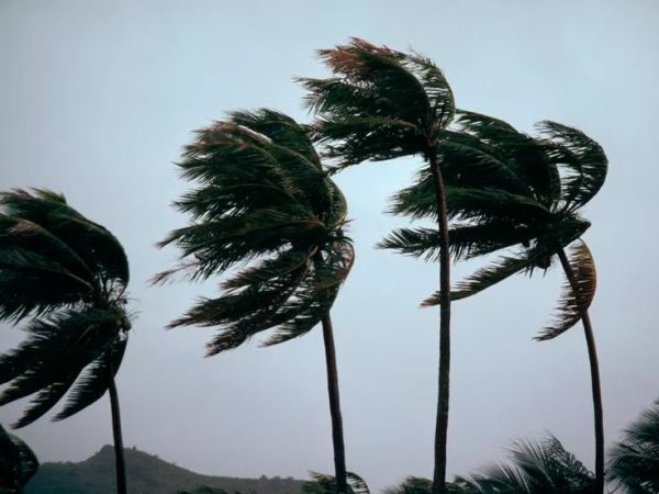 El vídeo más desolador de el incendio de Villanueva de Viver: 70 ancianos refugiados en un autobús 13 Merca2.es Viento fuerte