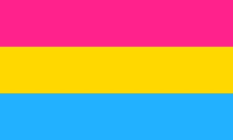 Pansexualidad