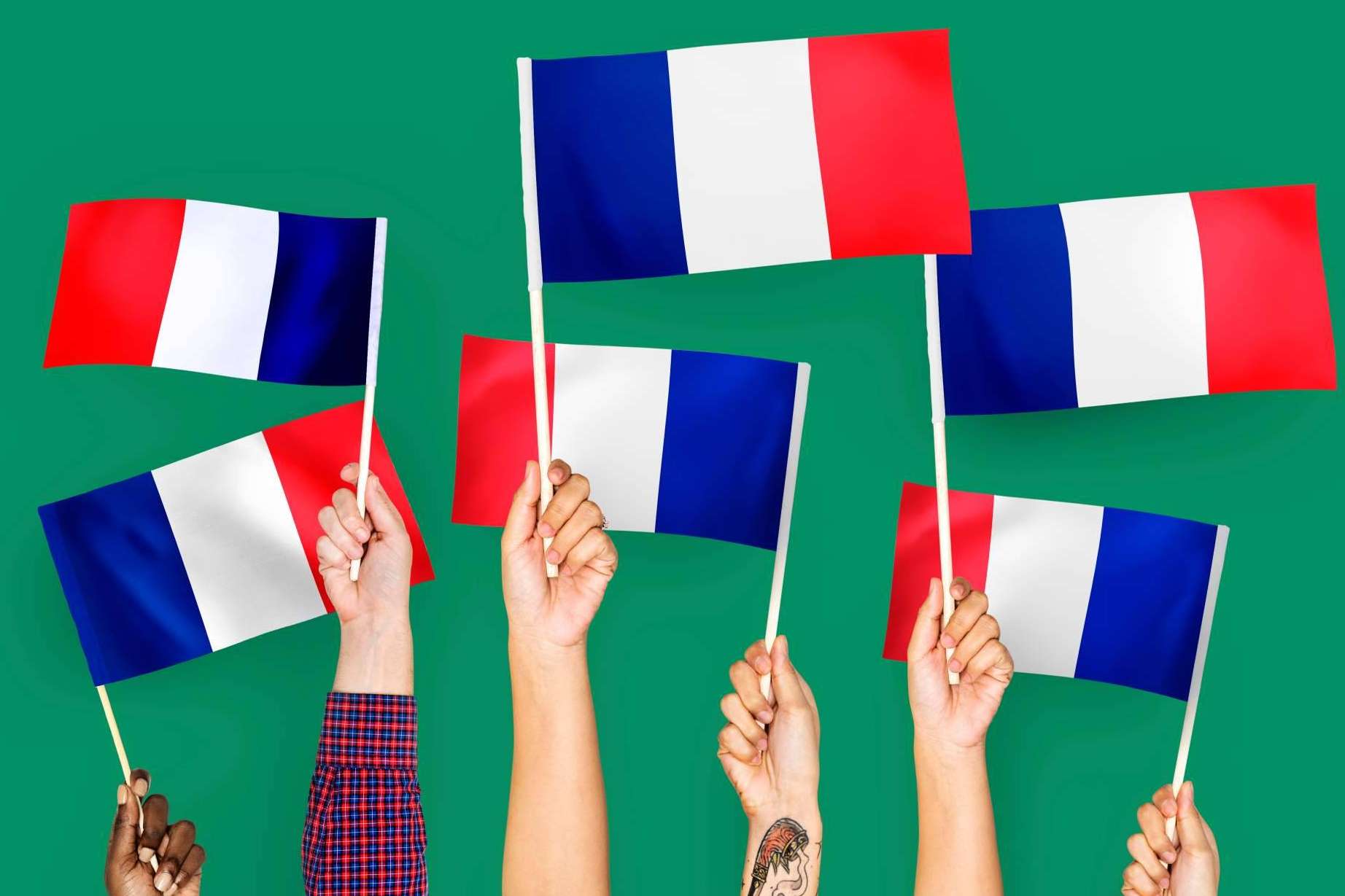 Clases de francés en Madrid, con academia Wanders Idiomas, ideal para niños, adultos y opositores