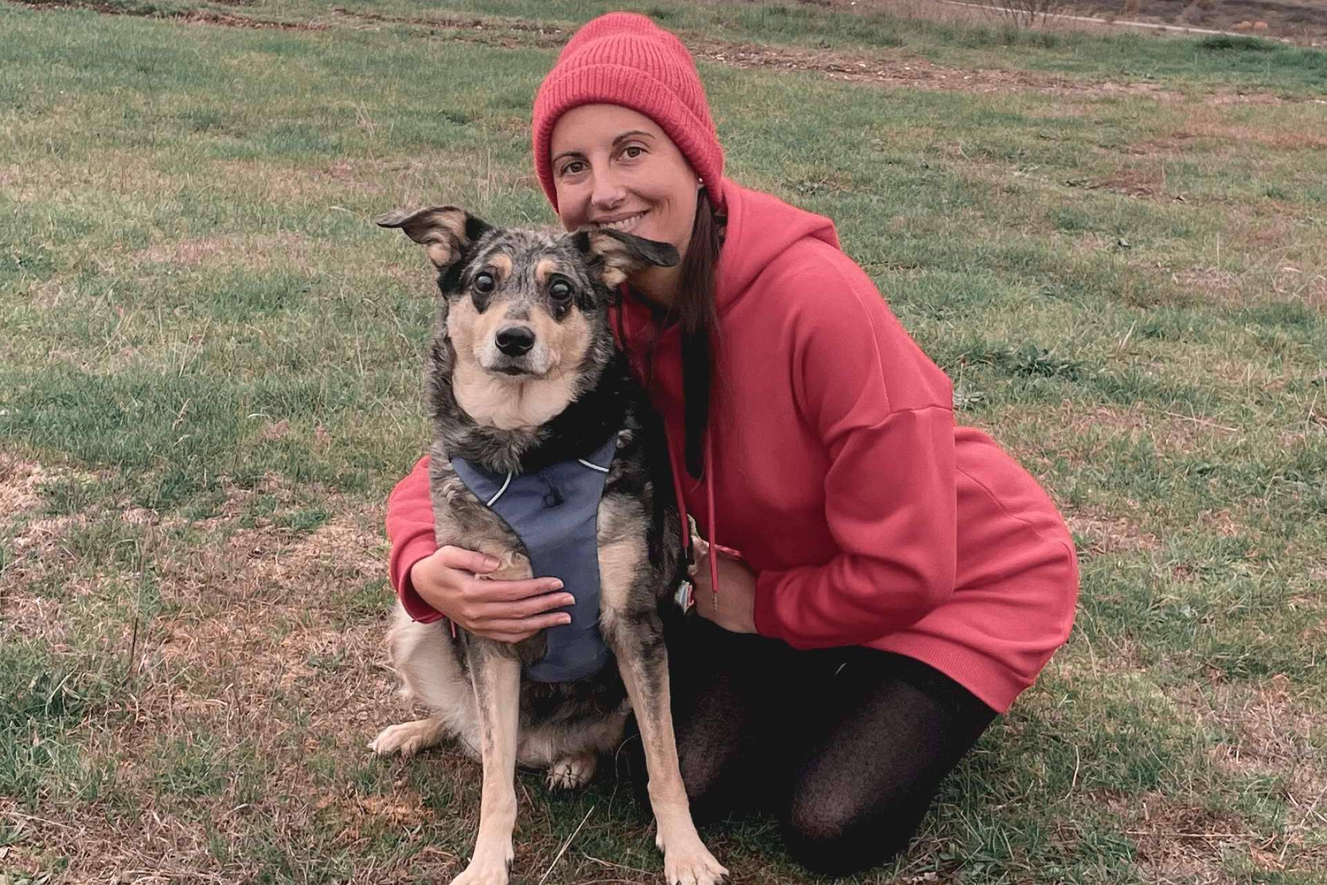 Comprender la importancia de las emociones en los perros con el curso de Ulises y Argos