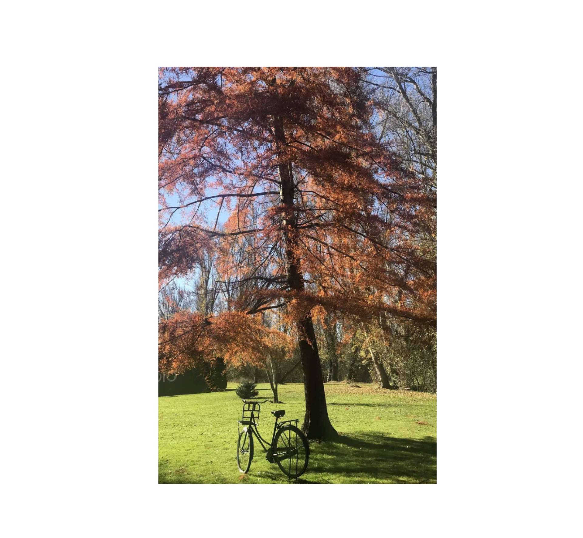 ¡Quiero una bici!, reacondicionamiento de bicis de segunda mano holandesas