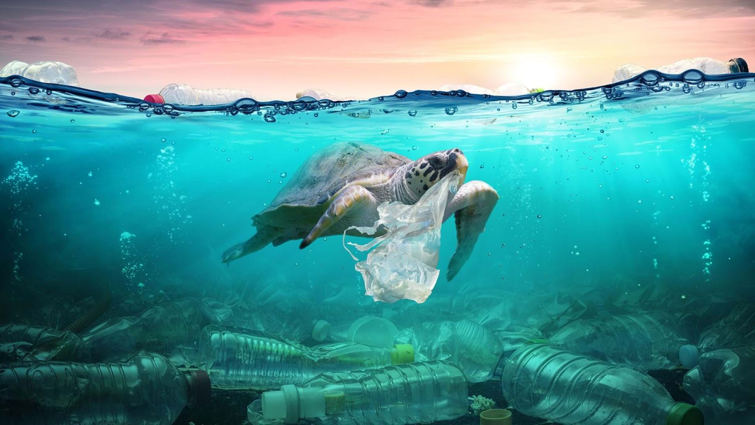 Así es lucha contra la contaminación plástica en los océanos