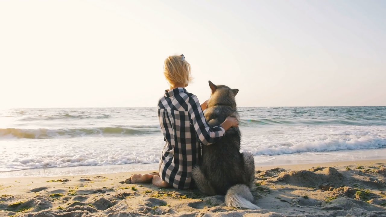 La multa de 10.000 euros que te pueden poner si haces esto con tu perro