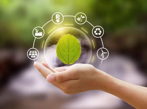 sostenibilidad 4 sostenibilidad