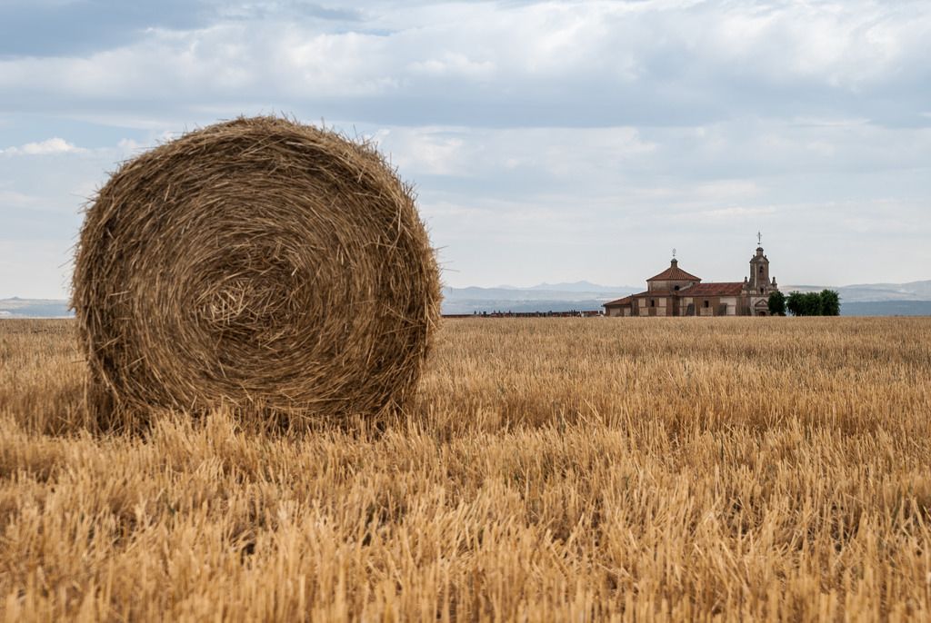 Los seguros agrarios ante el reto de proteger los cultivos herbáceos