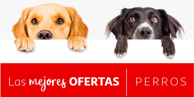 Excentricidad de Alcampo: una cama de diseño y chillona para tu mascota