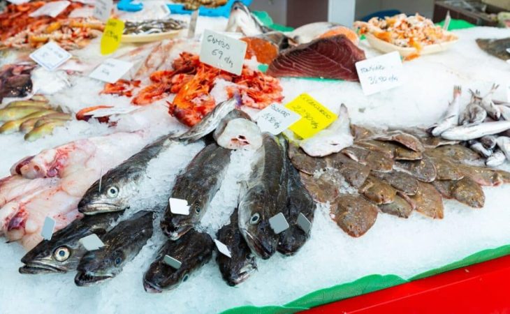 El pescado puede contener arsénico según la OCU