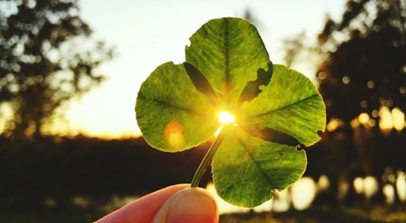 En los signos del horóscopo de tierra