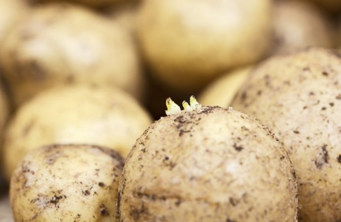 IJURBTXWFBOSZJSPDVTWYTFJCE Merca2.es