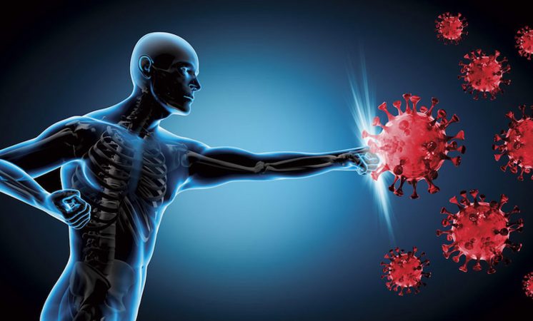 Repara tu piel a través de este alimento 72 Merca2.es La mizuna potencia el sistema inmunitario