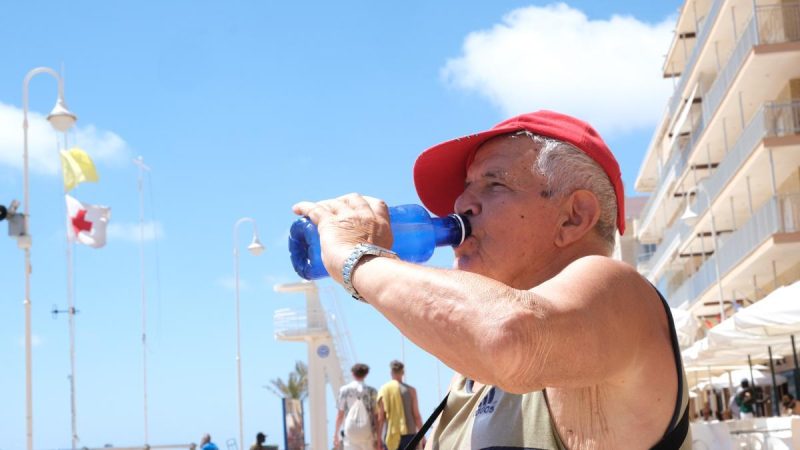 Alimentación ligera y nutritiva