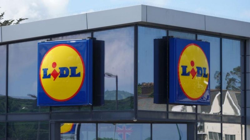 Arregla tu jardín con esta preciosidad de Lidl 53 Merca2.es Lidl Merca2.es