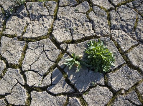 Lluvia artificial Lluvia artificial