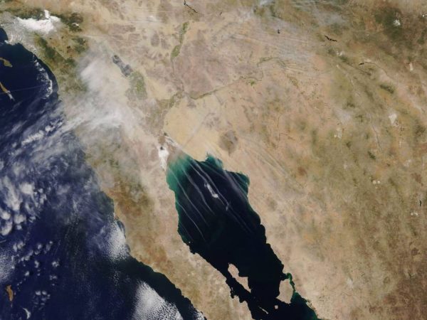 ¿Pueden las estelas de aviones afectar al clima?