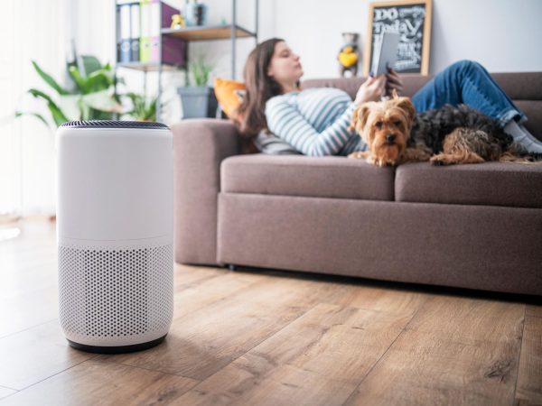 Purificador de aire