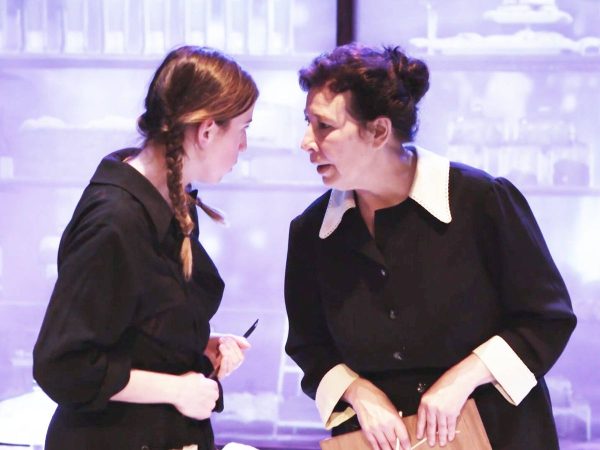 ¿Por qué se seleccionó esta novela?