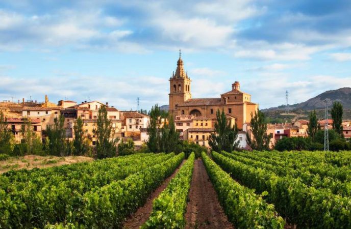 El ranking de la comunidad autónoma más odiada de España hecho por expertos 63 Merca2.es Viñedos de La Rioja