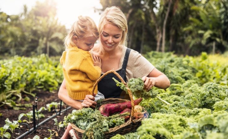 Mayo, un mes de vitalidad en la naturaleza