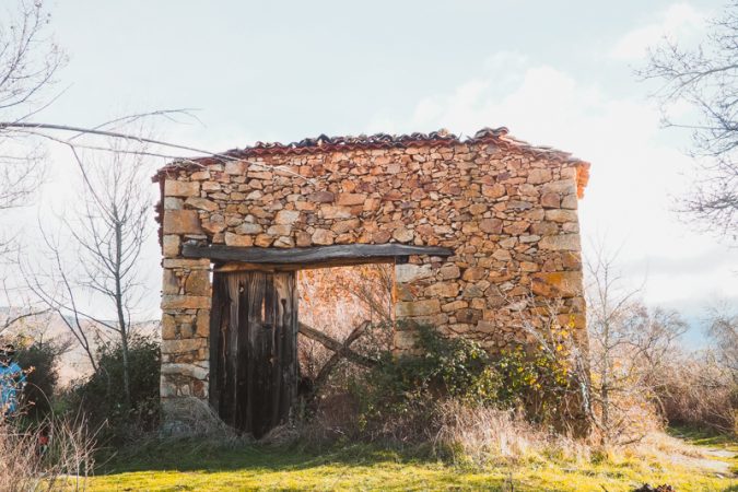 bellidas 5 Merca2.es