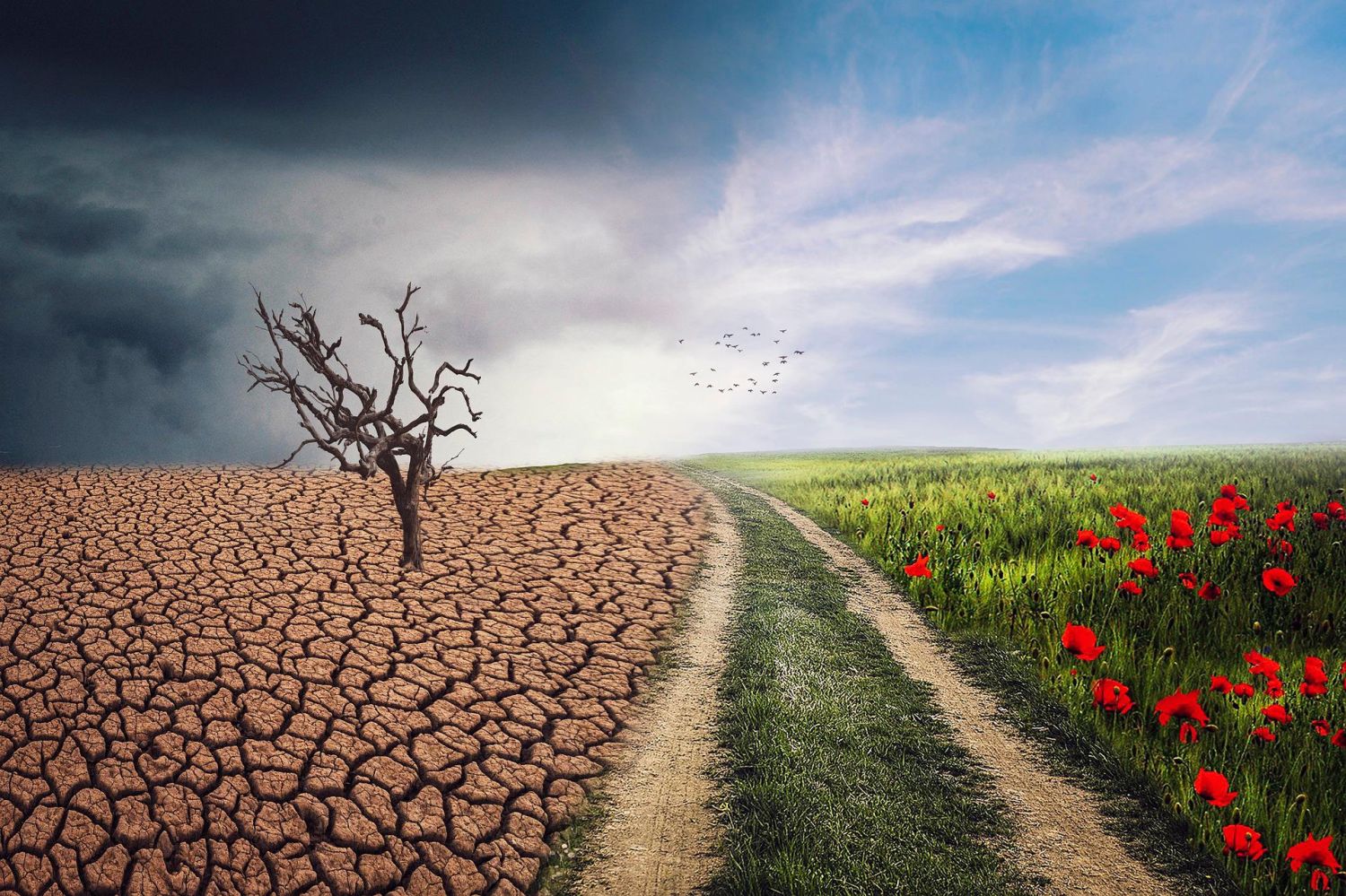 Cambio climático: ¿estamos a tiempo de evitar una catástrofe?