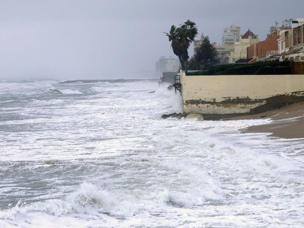 f.elconfidencial.com original 9ee a9c 4ef 9eea9c4ef1e1b06e9fa73f364fa4fb04 Merca2.es