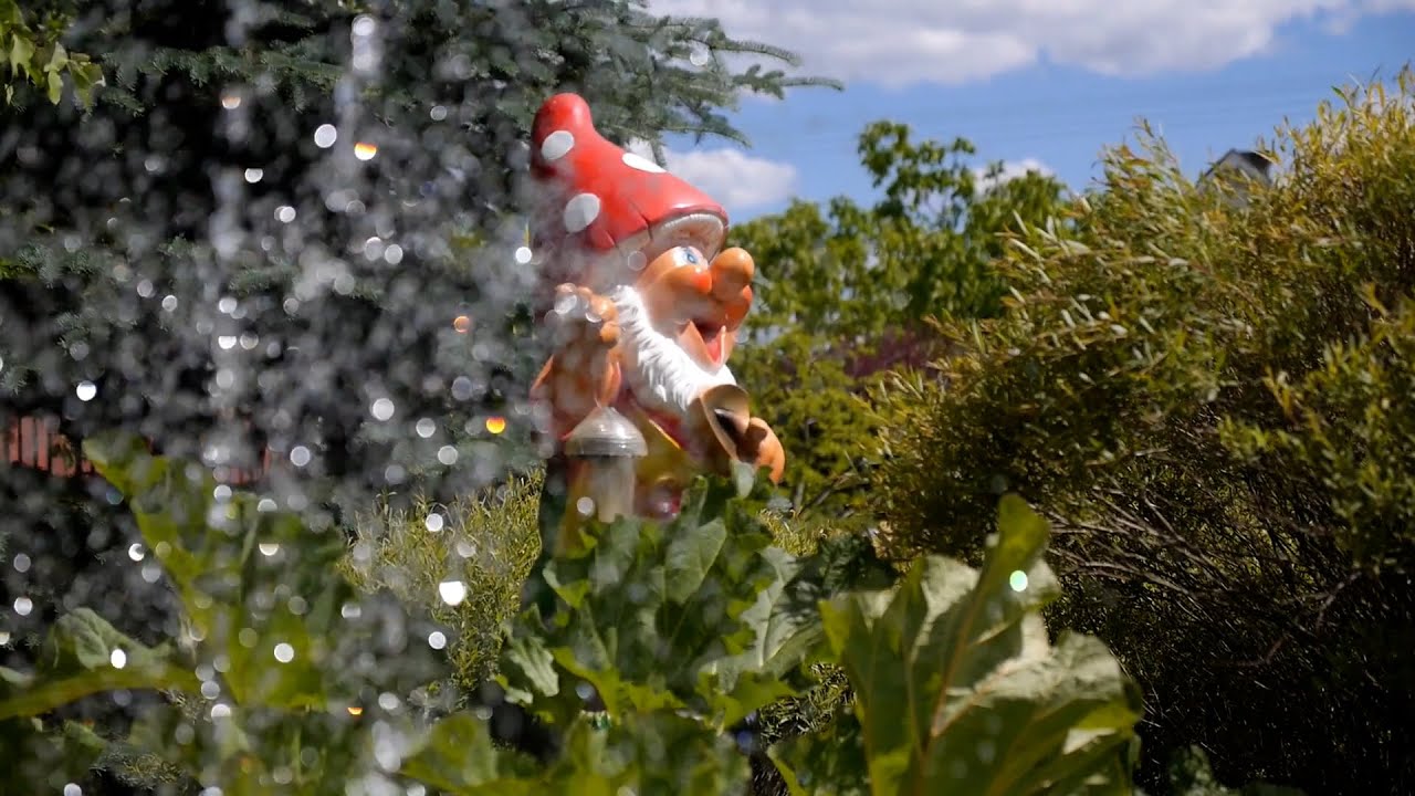 El curioso bosque con más de 1000 figuras de gnomos en Inglaterra
