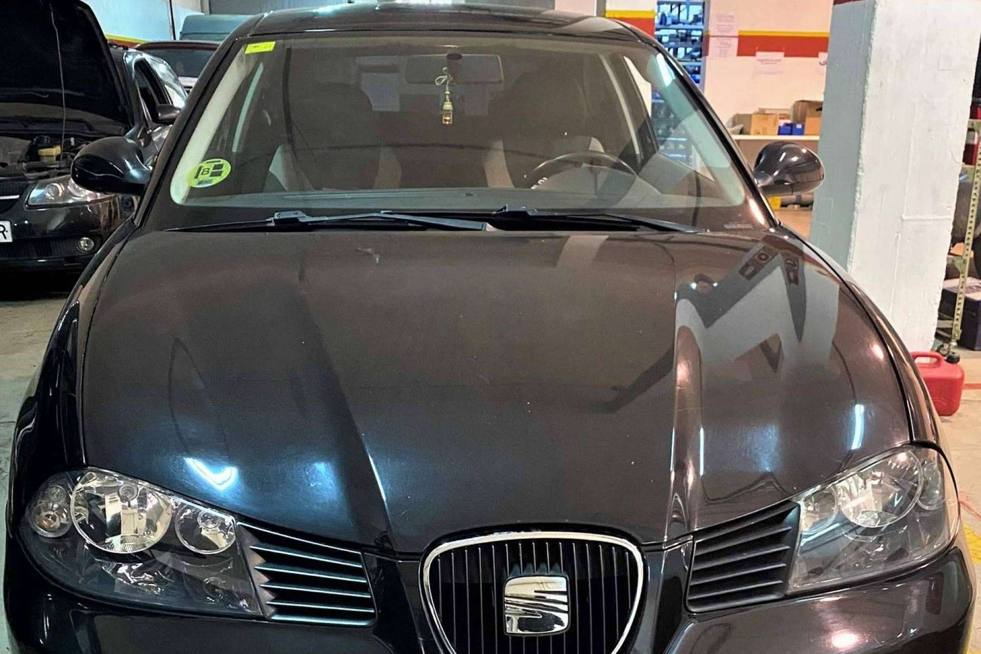 Esta es la evolución del incónico Seat Ibiza, por EGINER