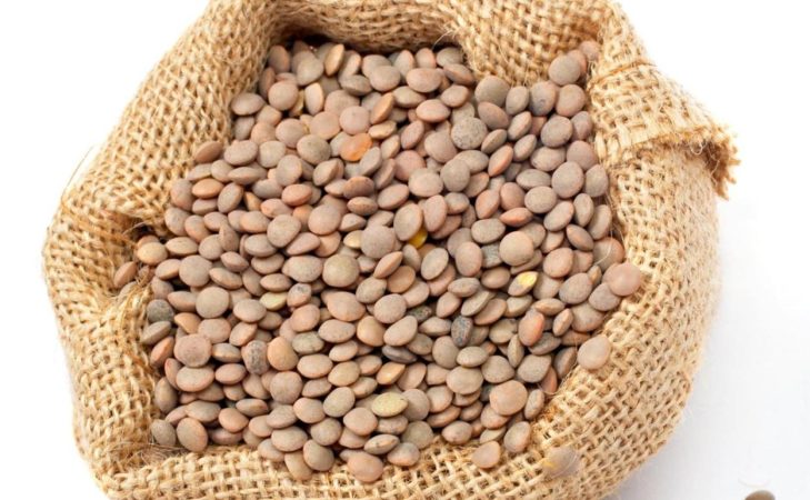 Además necesitarás para las lentejas de Berasategui