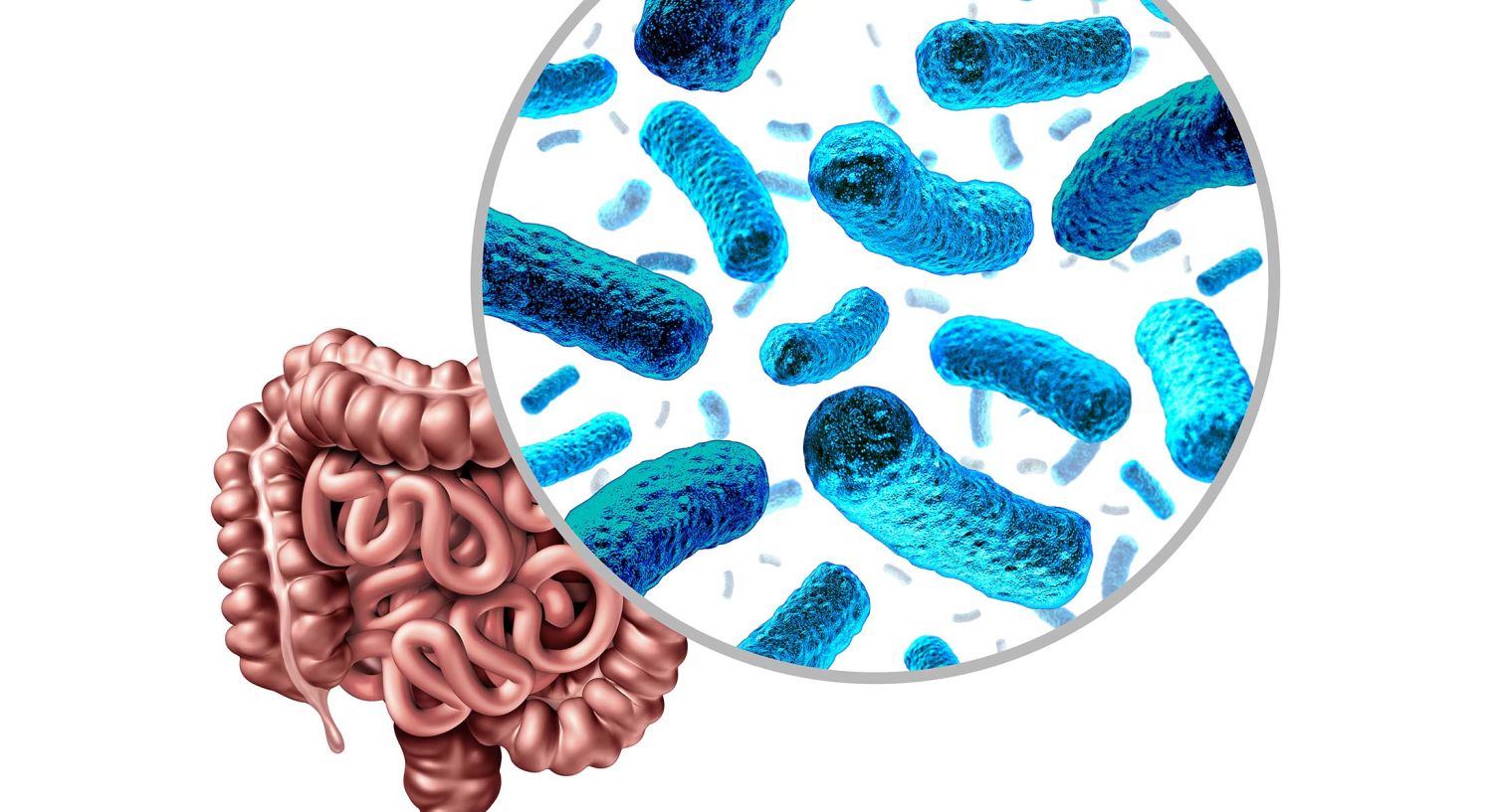Recetas para mejorar tu microbiota intestinal
