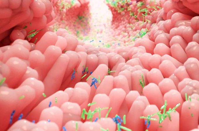 Algunos alimentos que mantienen el buen equilibrio en la microbiota intestinal