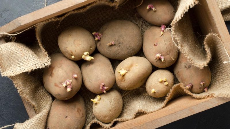 patatas con brotes Merca2.es