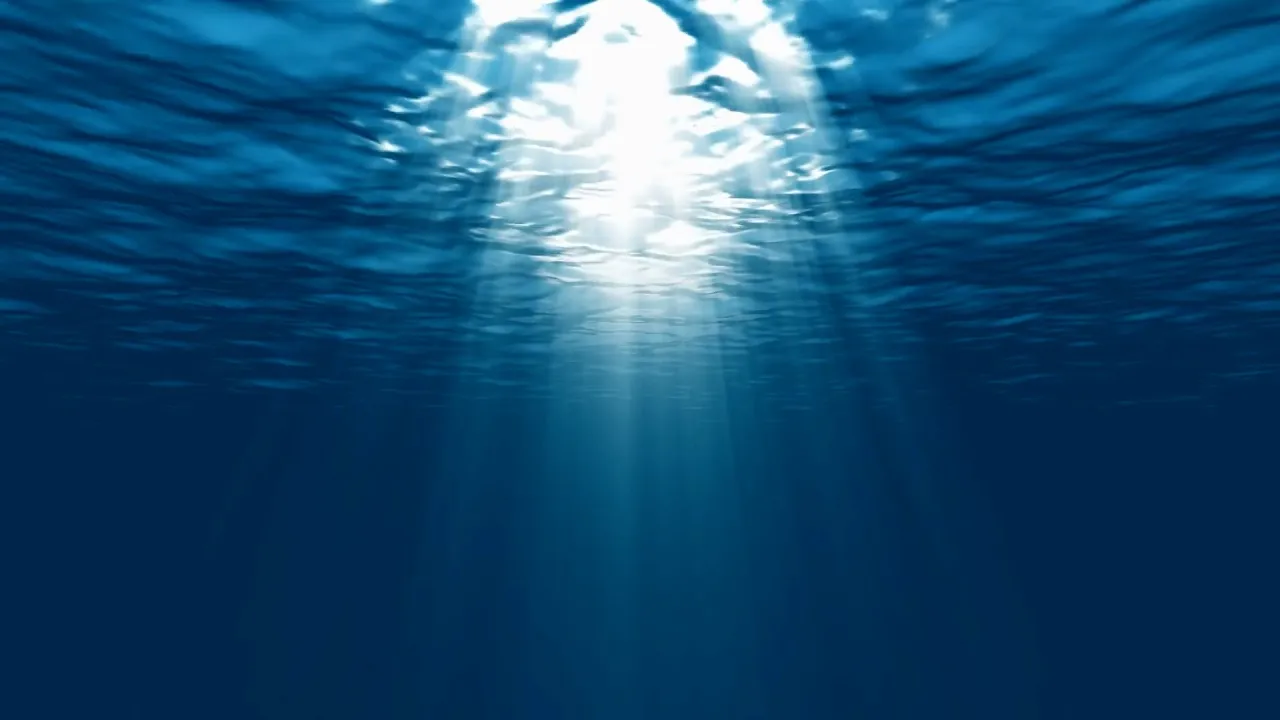 ¿Las olas de calor ocurren también bajo el agua?