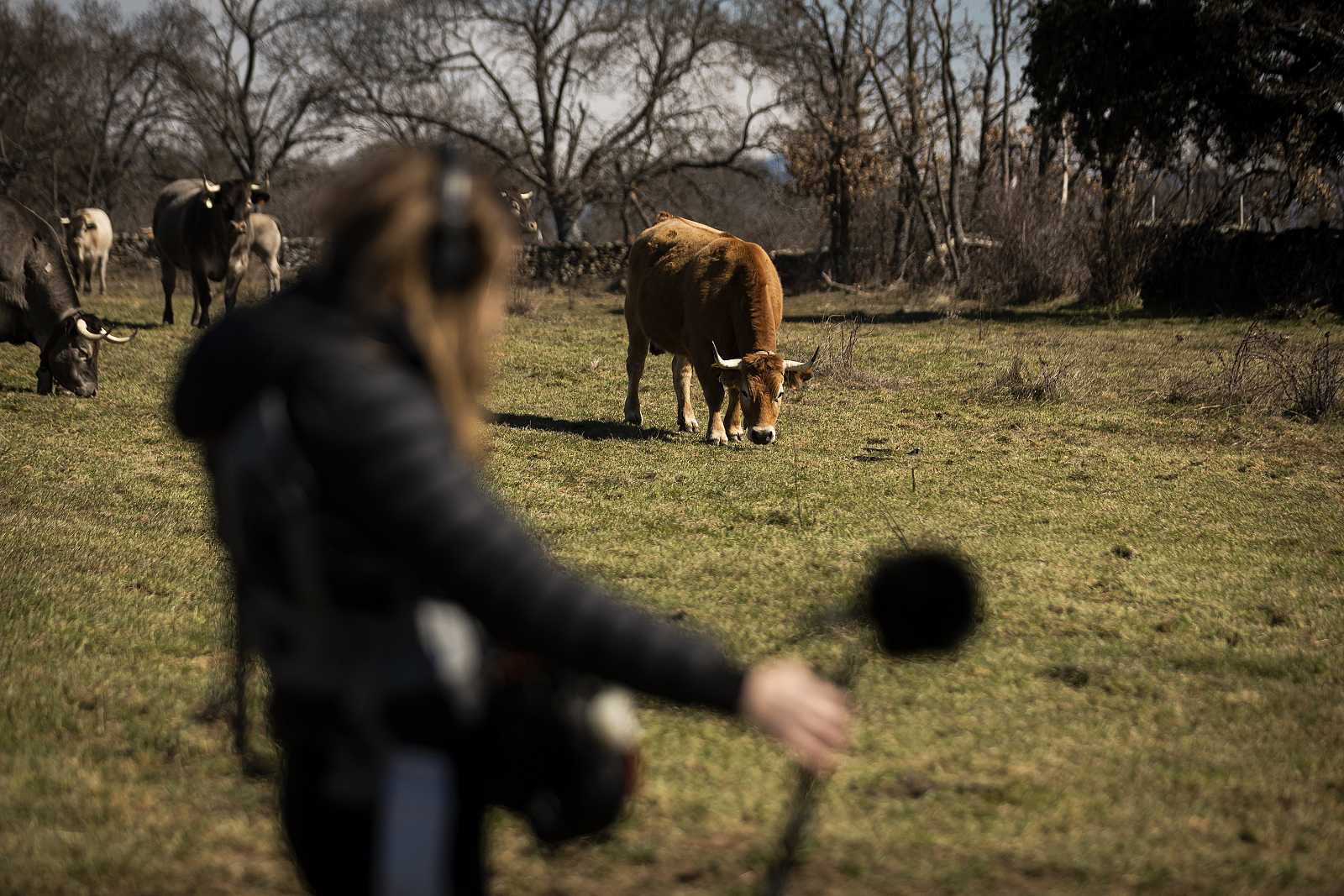 El boom de la España vaciada sacude la televisión mediante series y realities