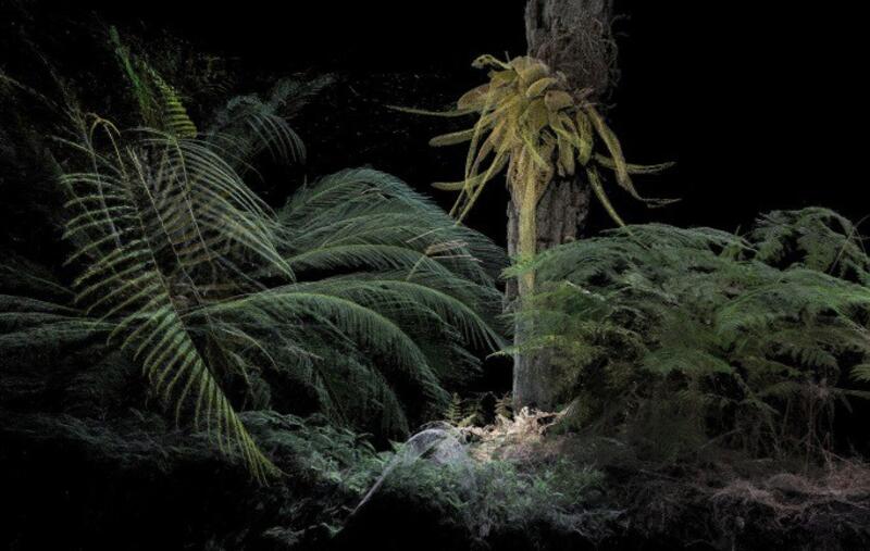 Las exposiciones de Fundación Enaire inauguran un año más el Festival PHotoESPAÑA en el Real Jardín Botánico