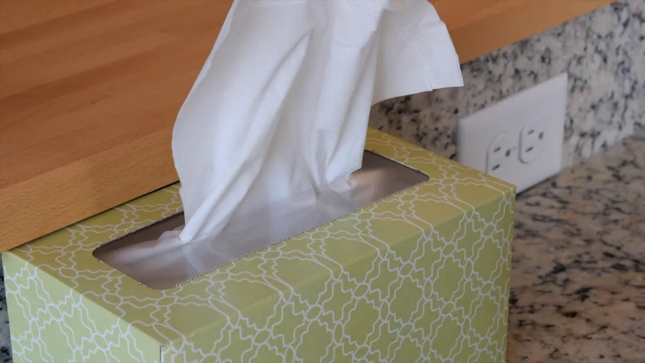 De la piel de conejo a las servilletas de papel