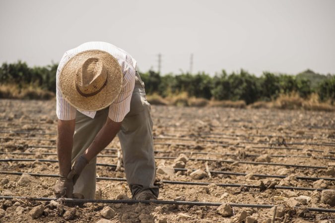 Agricultor español