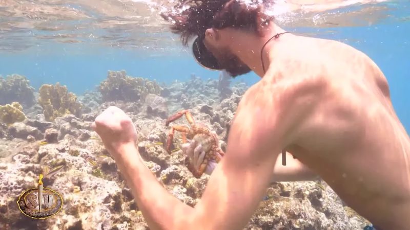 Bosco pescando el centollo