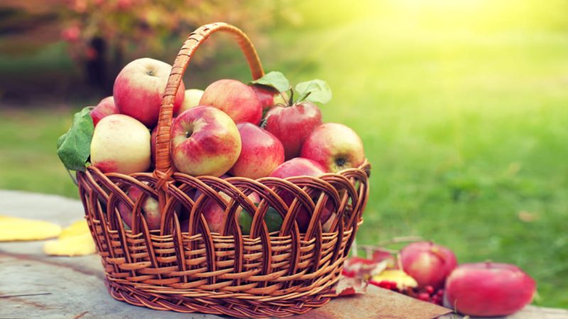 Sugerencias que puedes tomar en cuenta para realizar tus buñuelos de manzana